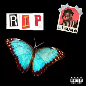 国产成人永久在线播放
